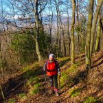 Salita nel bosco con lo sfondo delle montagne